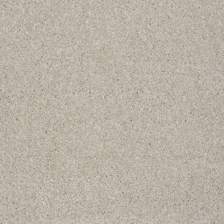 Shaw Floors Shaw Design Center Fantastical Soft Chamois