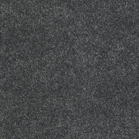 Shaw Floors Shaw Design Center Fantastical Seacliff Heights