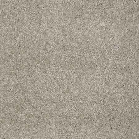 Shaw Floors Shaw Design Center Fantastical Coastal Fog