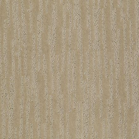 Shaw Floors Shaw Design Center Coral Canyon Mushroom