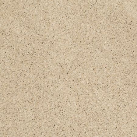 Shaw Floors Shaw Design Center Honest To Goodness Reflection