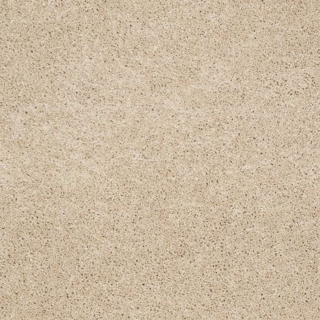 Shaw Floors Shaw Design Center Honest To Goodness Fresh Perspective