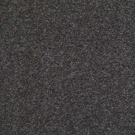 Shaw Floors Shaw Design Center Honest To Goodness Kensington