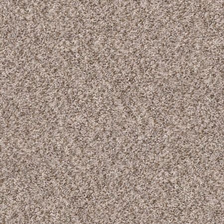 Shaw Floors Value Collections Cabana Bay (b) Net Summer Wind