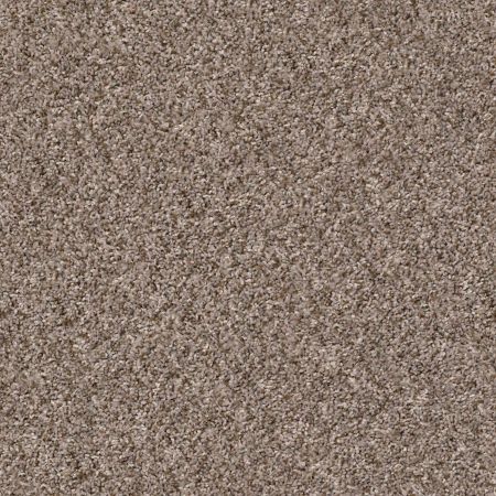 Shaw Floors Value Collections Cabana Bay (b) Net Brown Reed
