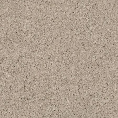 Shaw Floors Simply The Best Cabana Life Solid Net Shifting Sand