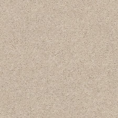 Shaw Floors Simply The Best Cabana Life Solid Net Sugar Cookie