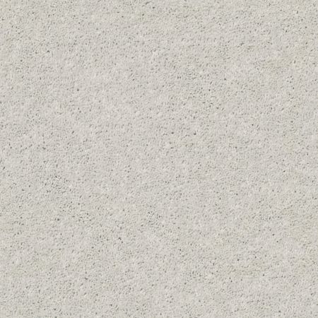 Shaw Floors Simply The Best Cabana Life Solid Net Ice