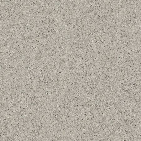 Shaw Floors Simply The Best Cabana Life Solid Net Weathered