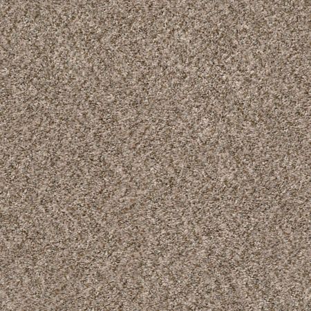 Shaw Floors Simply The Best Cabana Life (b) Net Mesa