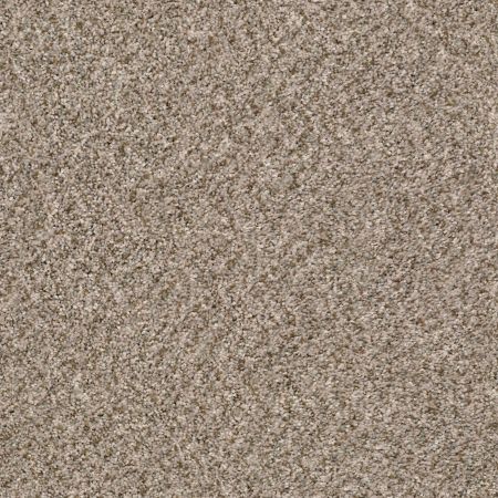 Shaw Floors Simply The Best Cabana Life (b) Net Summer Wind