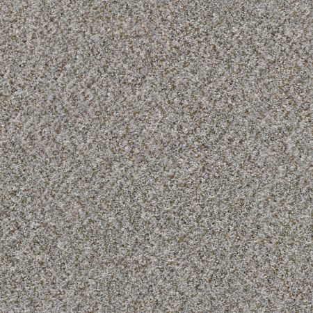 Shaw Floors Simply The Best Cabana Life (b) Net Granite