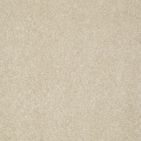 Shaw Floors Foundations Take The Floor Texture I Suitable