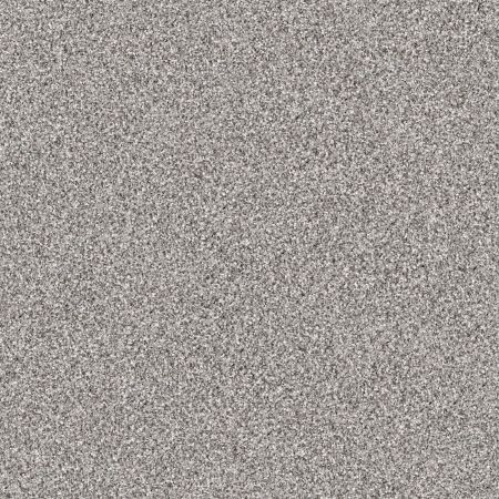 Shaw Floors Foundations Take The Floor Tonal II Stellar