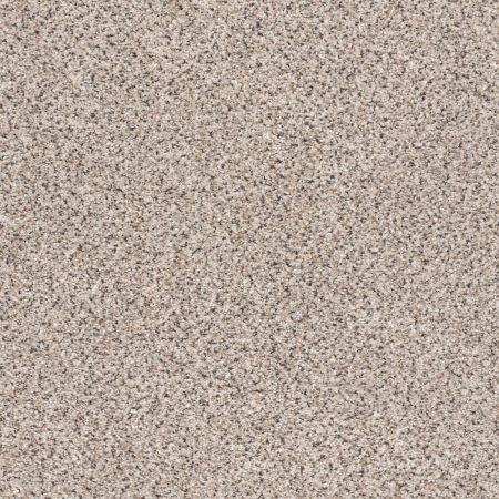 Shaw Floors Foundations Take The Floor Accent Blue Riverbed