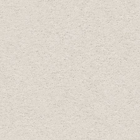 Shaw Floors Foundations Take The Floor Twist I Modern Loft