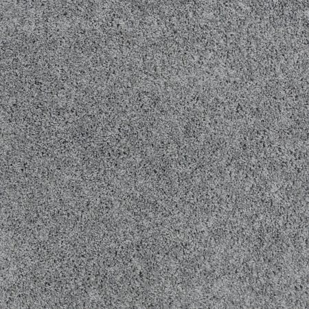 Shaw Floors Foundations Take The Floor Twist I Reflection