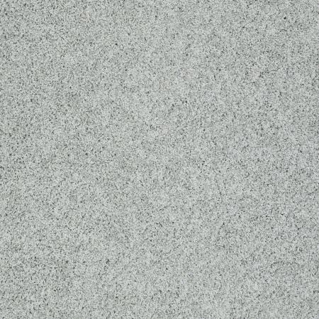 Shaw Floors Foundations Take The Floor Twist I Pewter