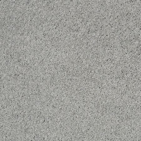 Shaw Floors Foundations Take The Floor Twist II Pewter