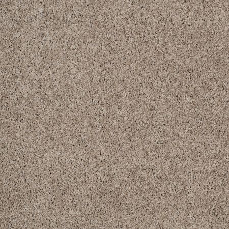 Shaw Floors Foundations Take The Floor Twist Blue Threshold