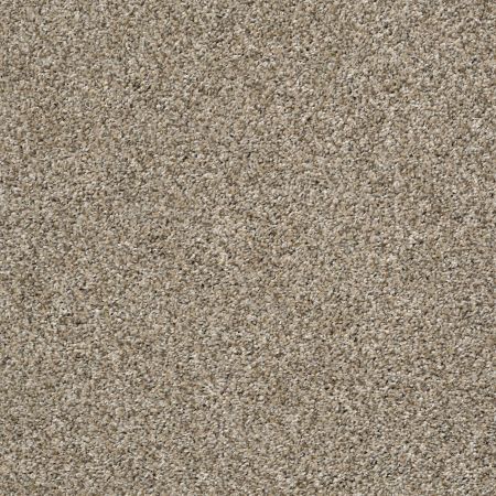 Shaw Floors Simply The Best All About It Sugar Cookie