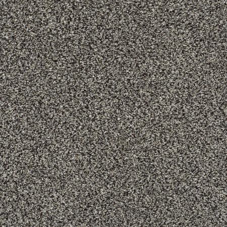 Shaw Floors Simply The Best All About It Meteorite