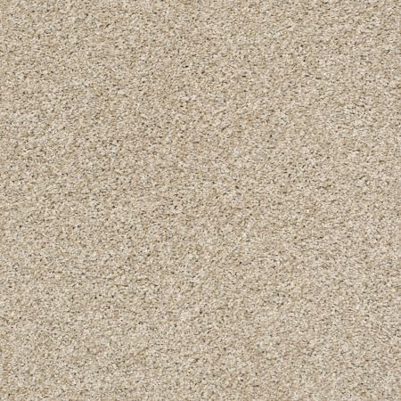 Shaw Floors Pet Perfect Plus Charmed Hues Biscotti