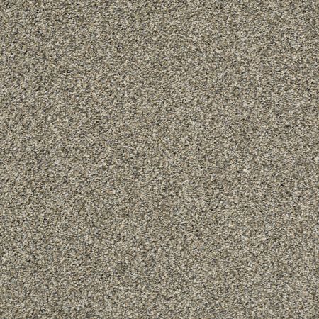 Shaw Floors Pet Perfect Plus Charmed Hues Park Trail