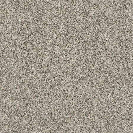 Shaw Floors Pet Perfect Plus Charmed Hues Pencil Sketch