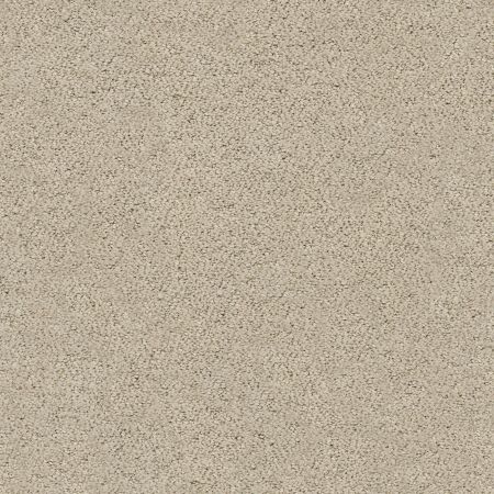 Shaw Floors Foundations Aerial View Tiramisu