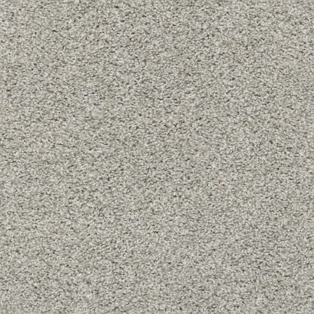 Shaw Floors Poised Great Greige