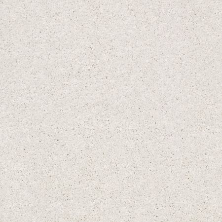 Shaw Floors Simply The Best After All II Eggshell