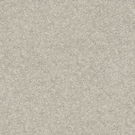 Shaw Floors Simply The Best After All II Pebble Creek