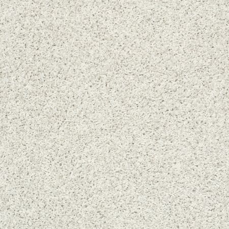 Shaw Floors Cool Flair Net Mayfair