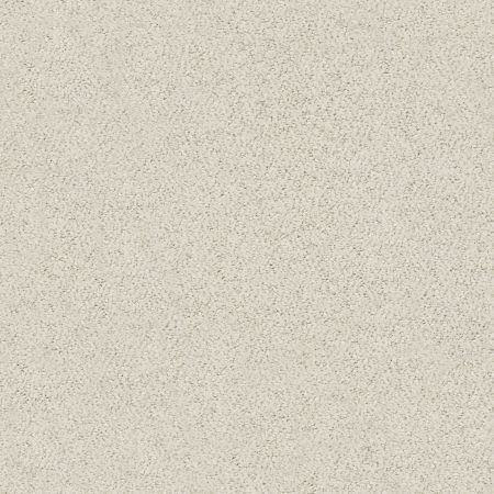 Shaw Floors Foundations Aerial View Net Soft Linen