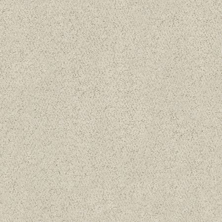 Shaw Floors Foundations Aerial View Net Canvas