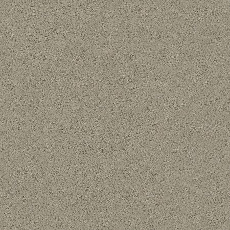 Shaw Floors Foundations Aerial View Net Artisan Taupe