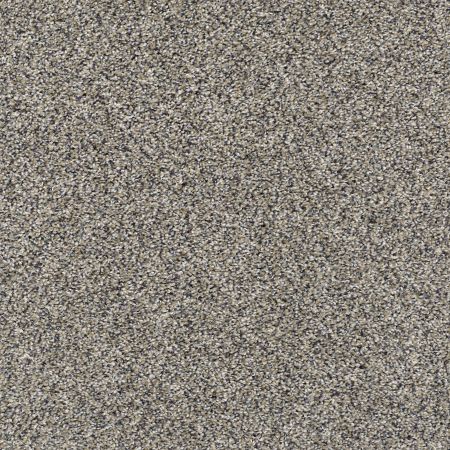 Shaw Floors Pet Perfect Plus Charmed Hues Net Castle