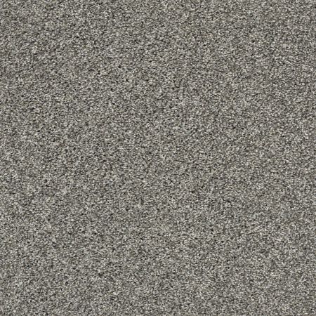 Shaw Floors Simply The Best All About It Net Warm Onyx