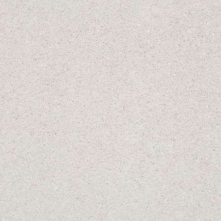 Shaw Floors Simply The Best After All I Net Sugar Cookie