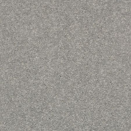 Shaw Floors Simply The Best After All II Net Moon Gaze