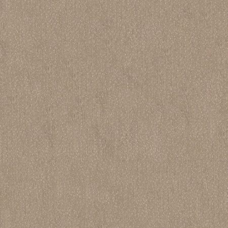 Shaw Floors Caress By Shaw Tranquil Waters Net Cobble Stone