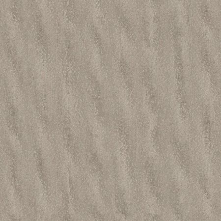 Shaw Floors Caress By Shaw Tranquil Waters Net Buff