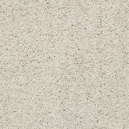 Shaw Floors Caress By Shaw Rich Opulence Net Mist