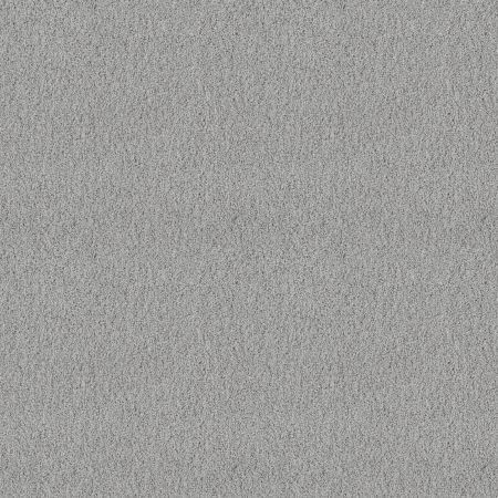 Shaw Floors Foundations Take The Floor Twist I Net Gray Owl