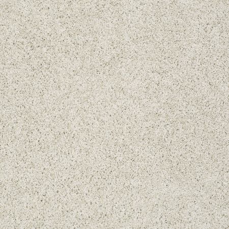 Shaw Floors Foundations Take The Floor Twist II Net Alpaca