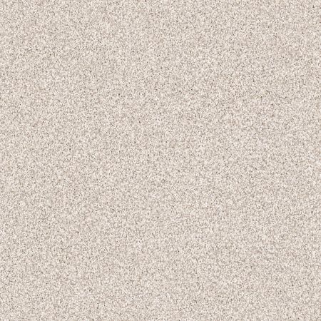 Shaw Floors Foundations Take The Floor Tonal II Net Statuary