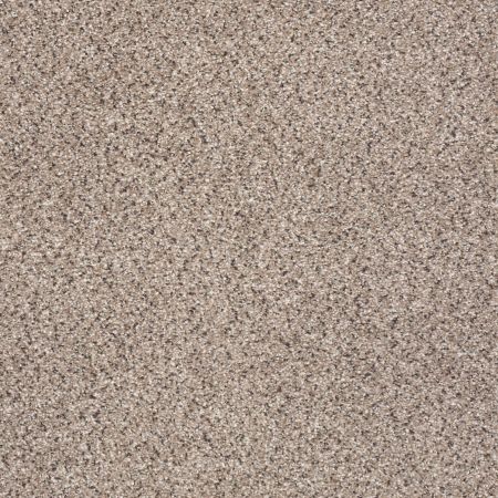 Shaw Floors Foundations Take The Floor Accent II Net Everest