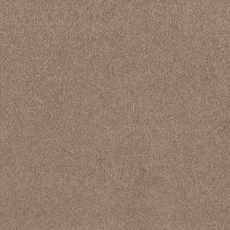 Shaw Floors Value Collections Sandy Hollow Classic I 12 Net Soft Shadow