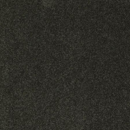 Shaw Floors Value Collections Sandy Hollow Classic I 12 Net Lilly Pad